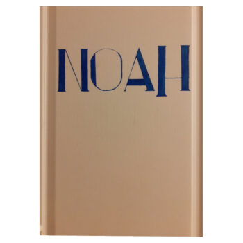 Peinture sur porte"NOAH"